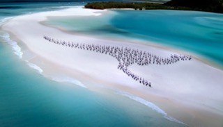 Qantas commercial still